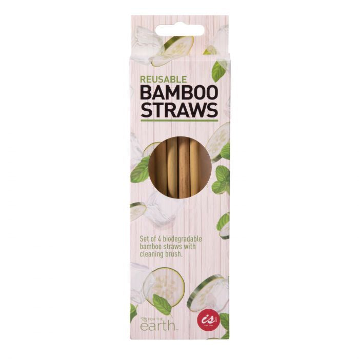 Reusable Bamboo Straws (set 4)