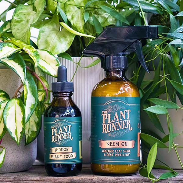 indoor plant neem spray and plant food