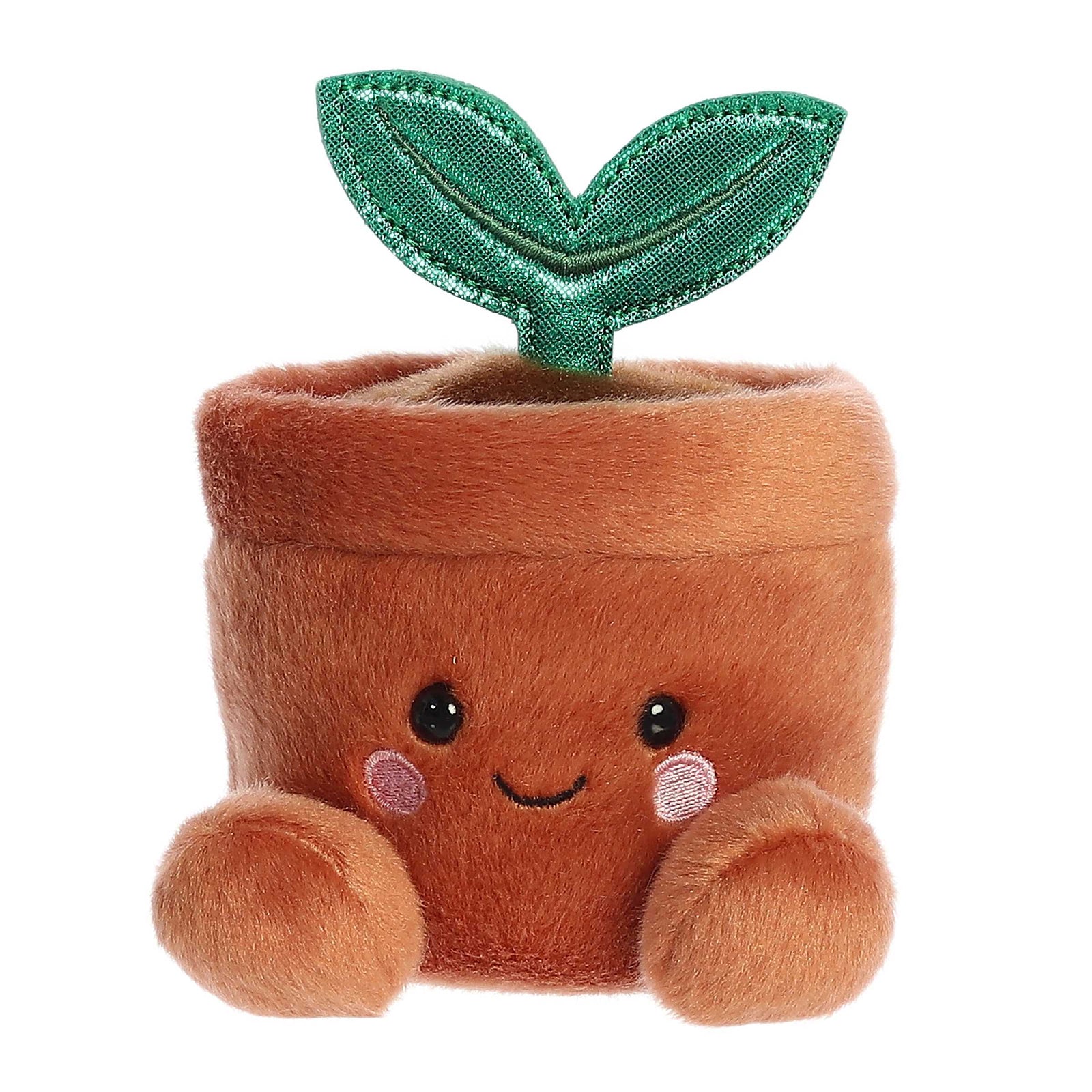 Palm Pal - 13cm Potted Flower