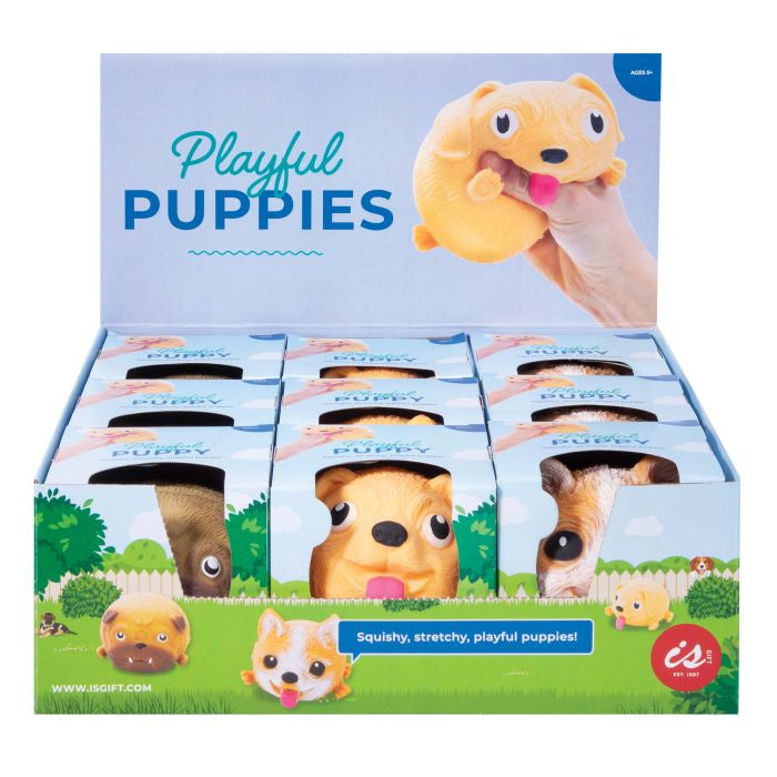 Playful Puppies (3Asst/9Disp)
