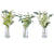 Rogue Foliage Mix-Glass Vases 3 Asst Pk 6 White