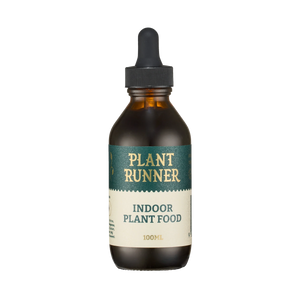 Indoor Plant Food