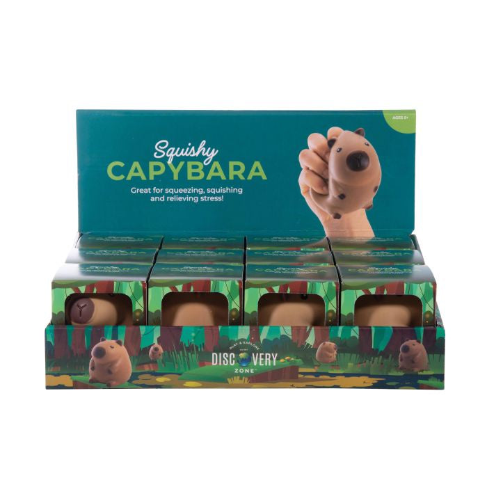 The Discovery Zone - Squishy Capybara
