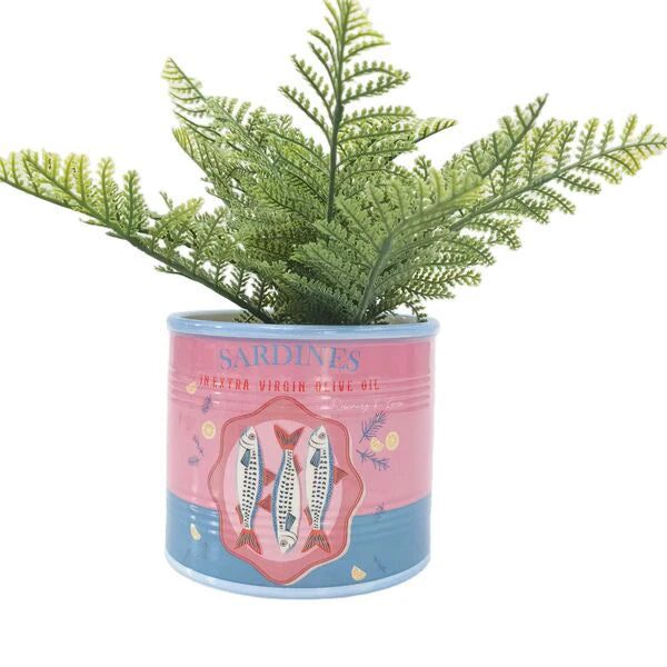 Sardines Can Planter Pink 12cm