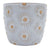 Embossed Daisy Planter White 14cm