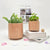 Miss Blossom Pot Peach Large