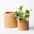 Rainbow Pot Small - Terracotta