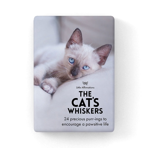 Litter Affirmations - The Cat's Whiskers