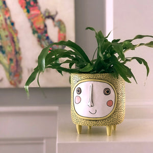 Sun Planter