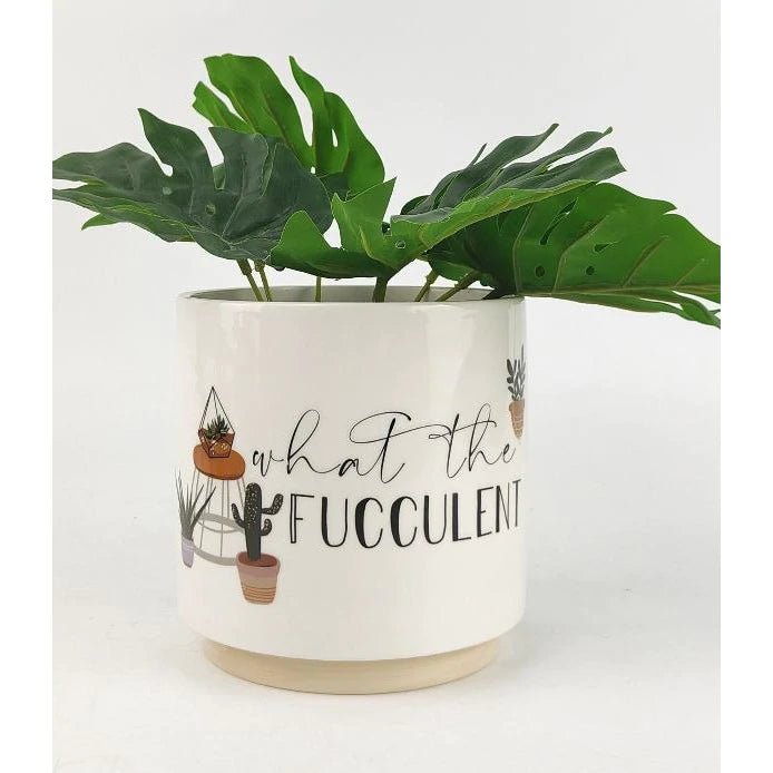 What The Fucculent Pun Planter