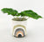 Woodstock Bloom Where You Are Planter Planter Green & Grey Lg 22cm