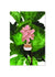 Fiddle Leaf Fig Enamel Pin Badge