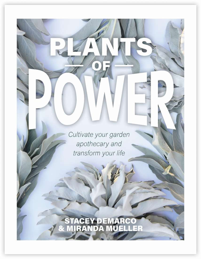 Plants Of Power