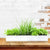 Micro Herbs Windowsill Box