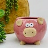 Planter Pig