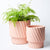 Moma Planter Peach  Large