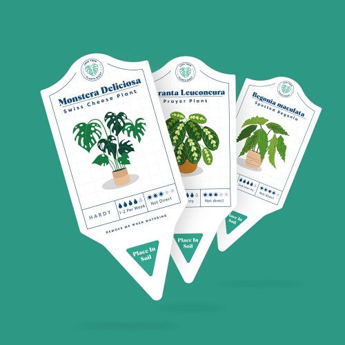 Bubblegum Stuff - Houseplant Care Tags