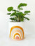 Woodstock Rainbow Planter Mustard Medium