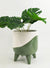 Avery Dot Planter with Legs Green Med 16