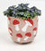 Toadstool Planter Pink Red Sml 10cm