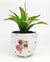 Quirky Cats Planter Colourful Sm 10cm