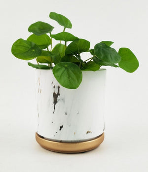 McKenna Planter w/ saucer Marble & Gold 14cm