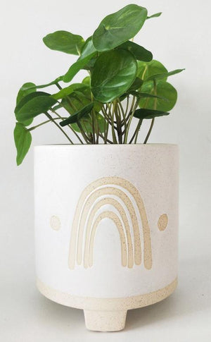 Elemental Rainbow Planter White Sand Medium