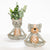 Quirky Kitty Vase Grey Sand Planter Med 16cm