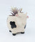 Cow Planter Sand Black Med 14cm